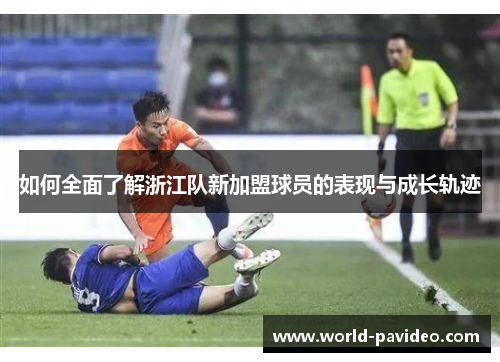 如何全面了解浙江队新加盟球员的表现与成长轨迹