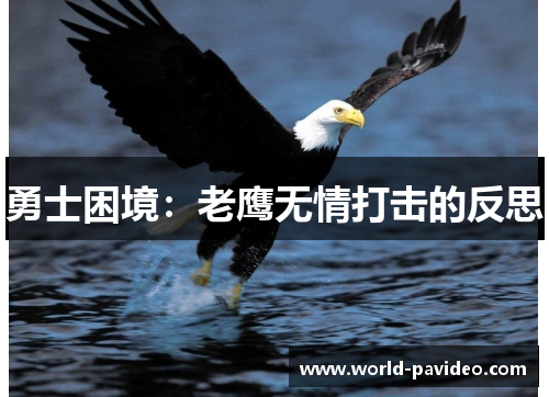 勇士困境：老鹰无情打击的反思