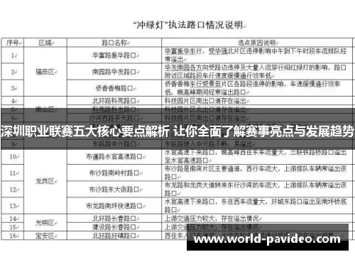 深圳职业联赛五大核心要点解析 让你全面了解赛事亮点与发展趋势