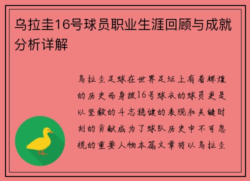 乌拉圭16号球员职业生涯回顾与成就分析详解