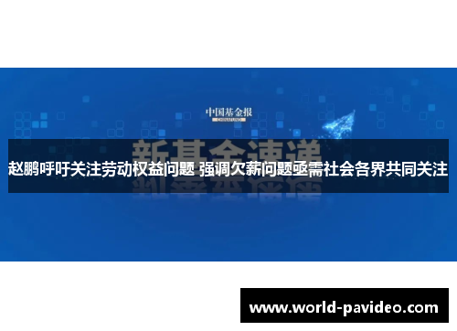 赵鹏呼吁关注劳动权益问题 强调欠薪问题亟需社会各界共同关注