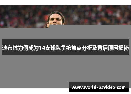 迪布林为何成为14支球队争抢焦点分析及背后原因揭秘