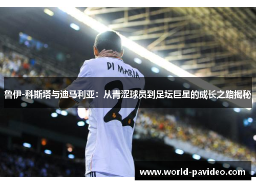鲁伊-科斯塔与迪马利亚：从青涩球员到足坛巨星的成长之路揭秘